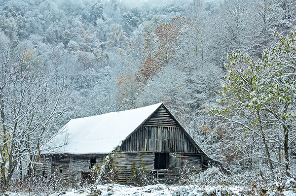 A Whiter Shade of Pale