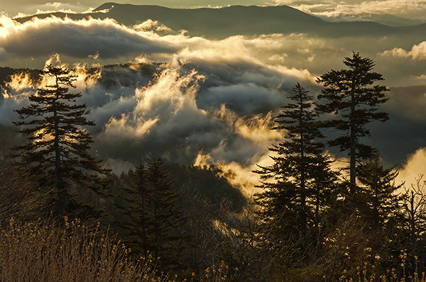 Cloud Dance