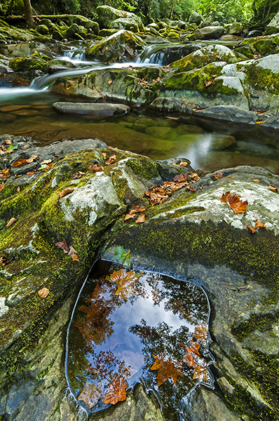 At the Edge of Big Creek