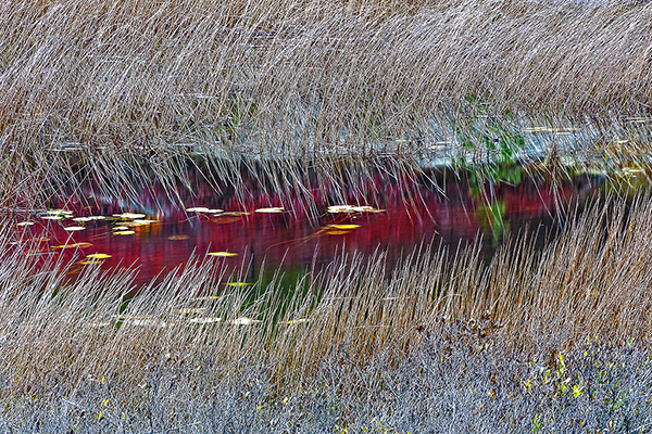 An Eye of Reflection